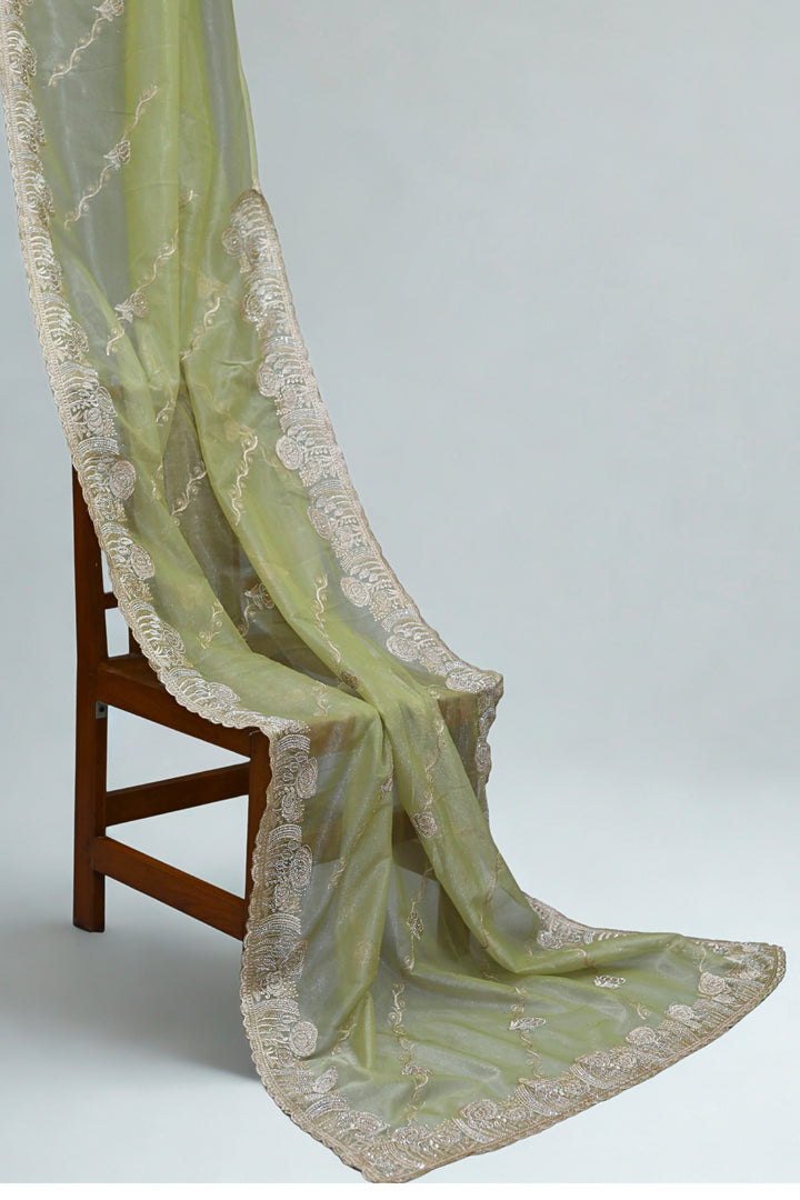 Light Pista Green Organza Tissue Saree with Floral Embroidery Stone Border