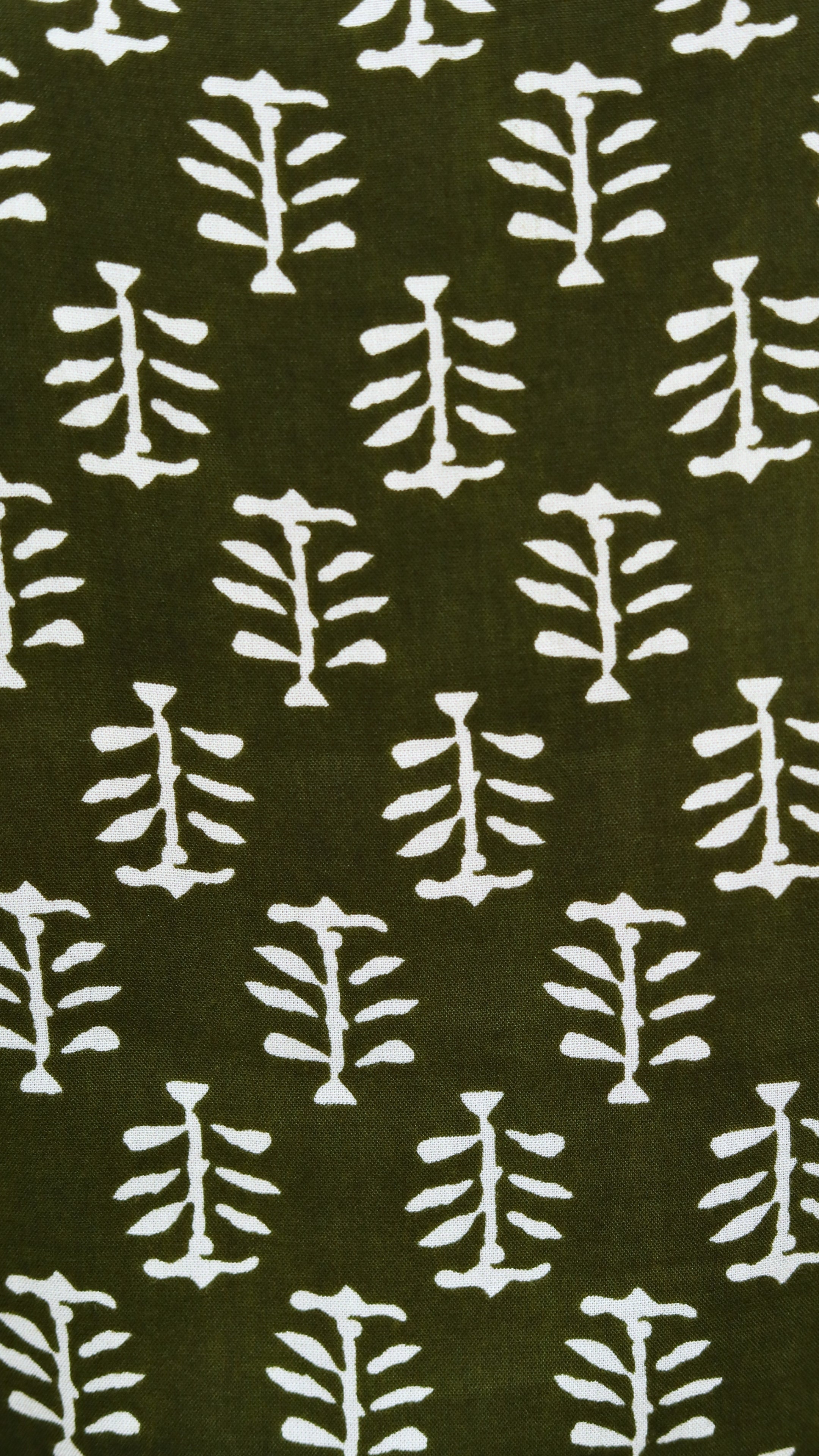Aranya Olive Aline Collar Short Kurti