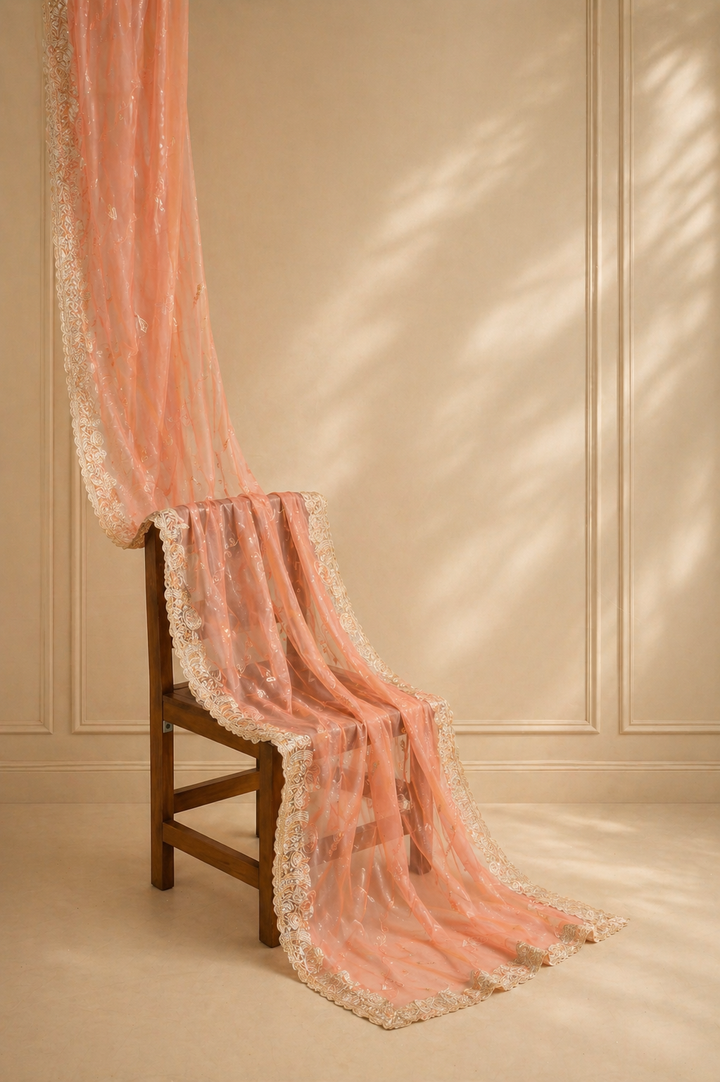 ISHNA Peach Organza Tissue Saree with Stone leaf Border